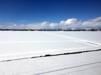 雪景色